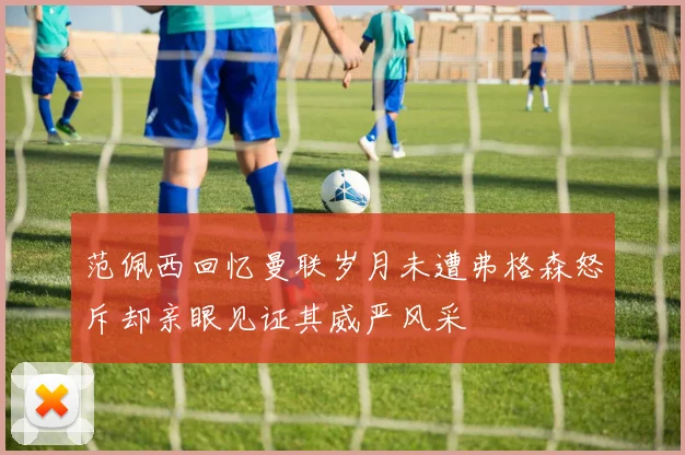 范佩西回忆曼联岁月未遭弗格森怒斥却亲眼见证其威严风采