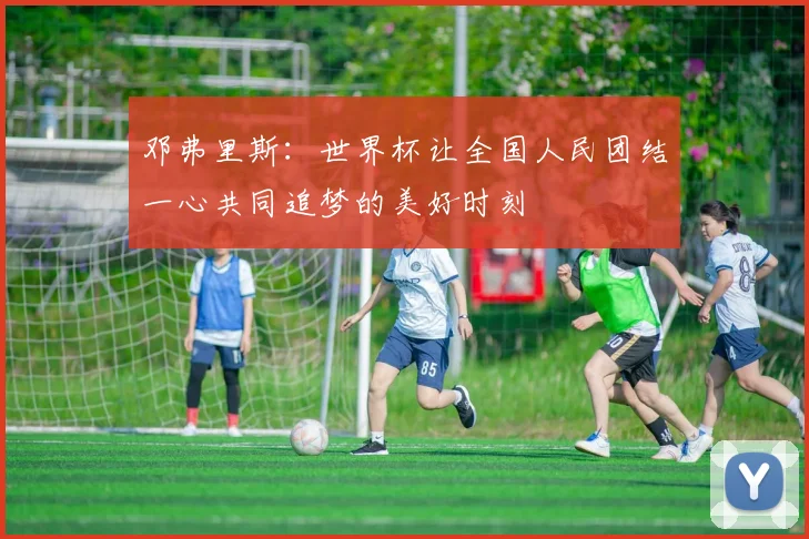 邓弗里斯：世界杯让全国人民团结一心共同追梦的美好时刻